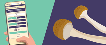 Calculateur de dosage pour champignons et des truffes hallucinogènes