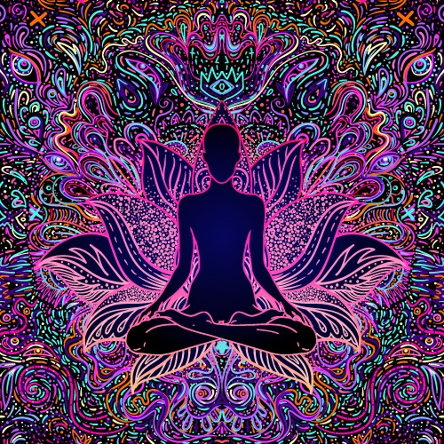 DMT - La molécule spirituelle ?