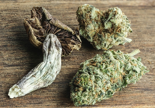 Drogues et alcool : quelles drogues (ne) peuvent (pas) être combinées ?