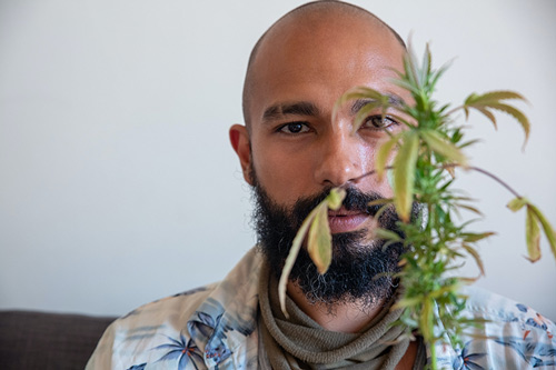 Résoudre 7 Problèmes de Cannabis pour les Cultivateurs Débutants