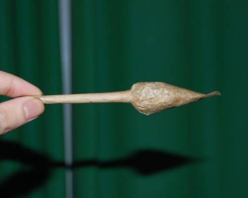 Rouler un Joint Special? Tulipe, Croix, Tressé, Diamond ou Pipe