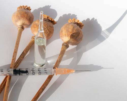 Qu'est-ce que l'opium et que sont les opiacés ?