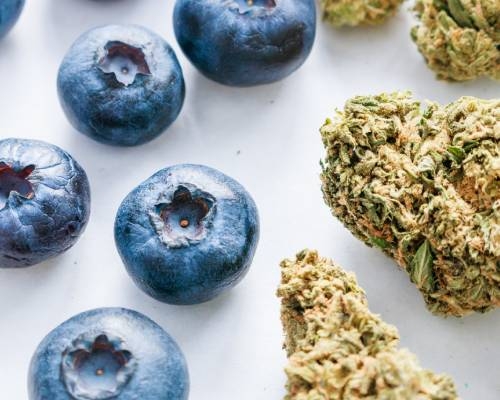 Améliorer le Goût du Cannabis En 8 étapes